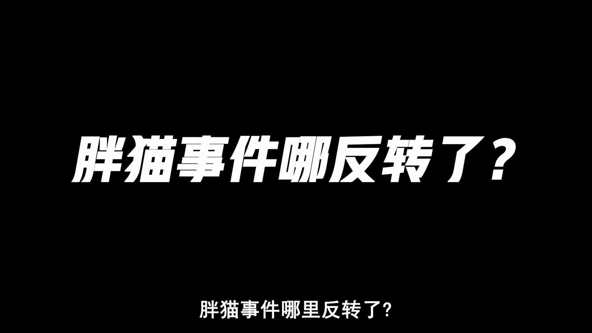 胖猫的钱转来转去就是反转是吧?哔哩哔哩bilibili