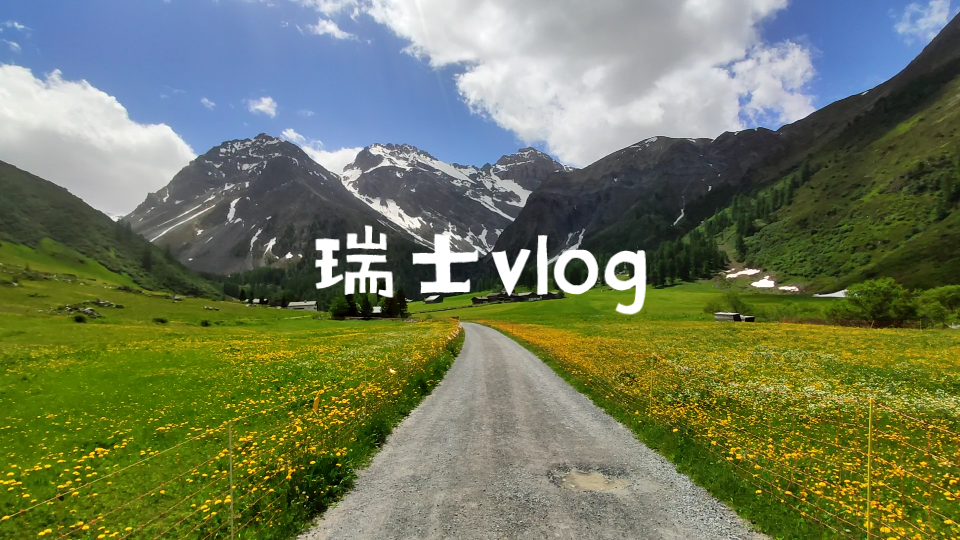 【vlog】绝美阿尔卑斯:领略一个不一样的夏天!哔哩哔哩bilibili