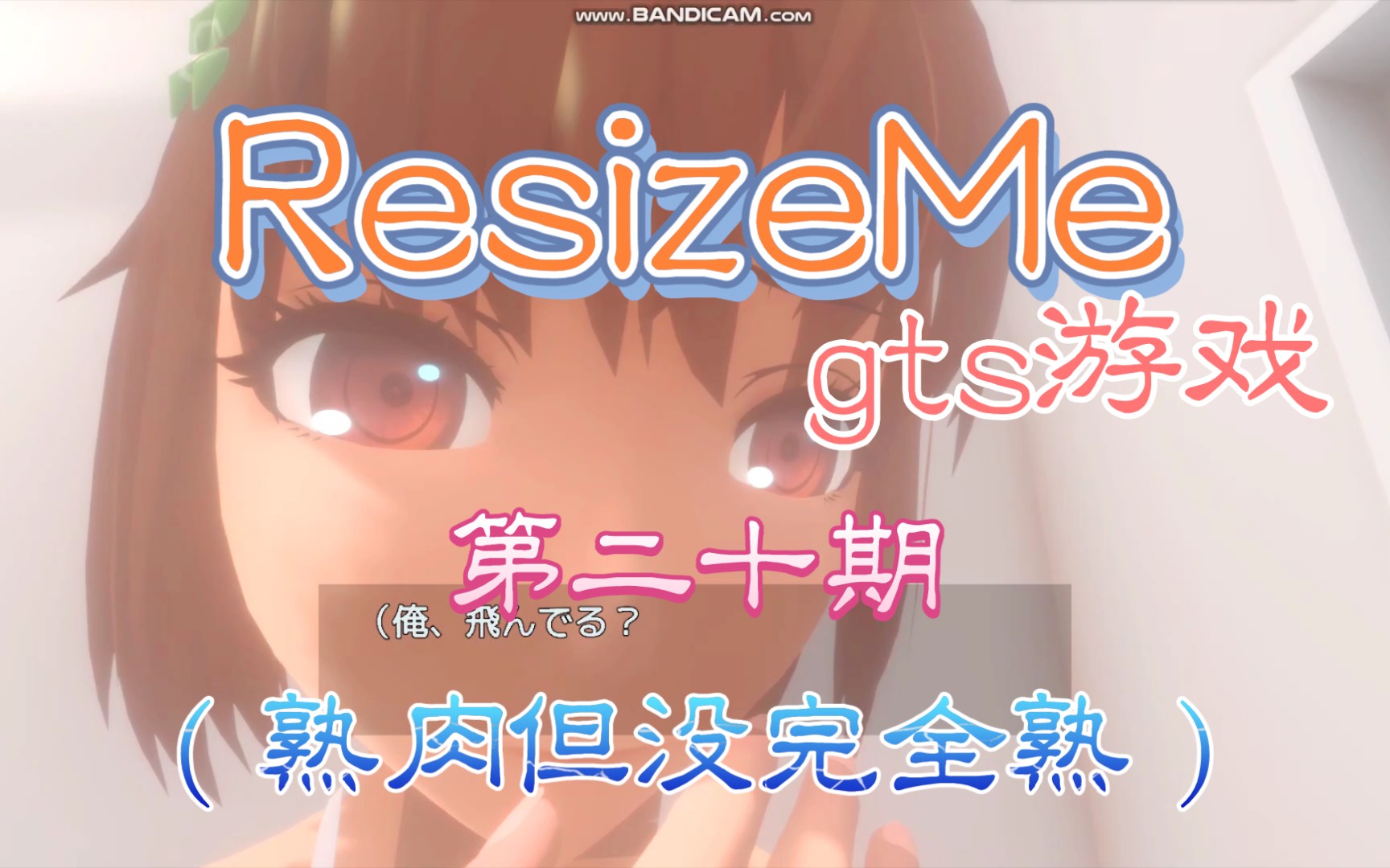 【gts游戏】ResizeMe 第二十期(半熟肉)