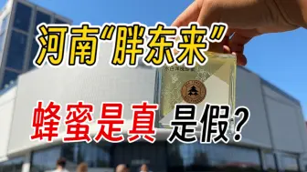 Descargar video: 探店许昌  “胖东来天使城”胖东来超市里的蜂蜜怎么样，是真是假？来自蜂农给胖东来超市的蜂蜜质检！