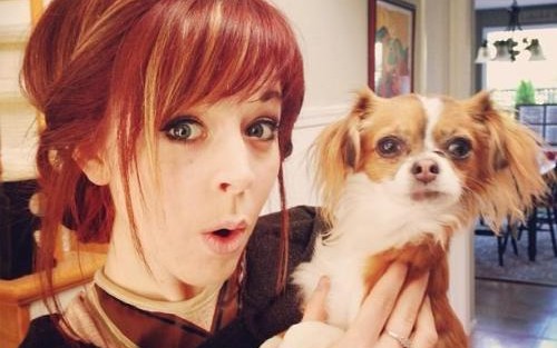 【Lindsey Stirling】b站最全琳姐Lindsey Stirling mv合集【Dubstep Violin】更新至2020.01哔哩哔哩bilibili