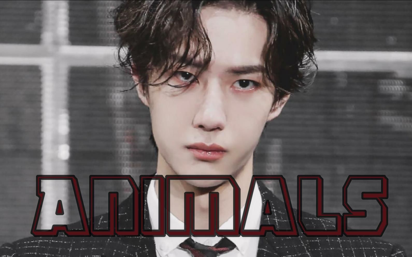 【王一博超S狼系混剪 | Animals】野性难驯 烈火燎原 | 疯狂踩点 | 不看后悔系列 | 舞蹈杂志广告综艺混剪-踮起脚尖就更接近阳光 ...