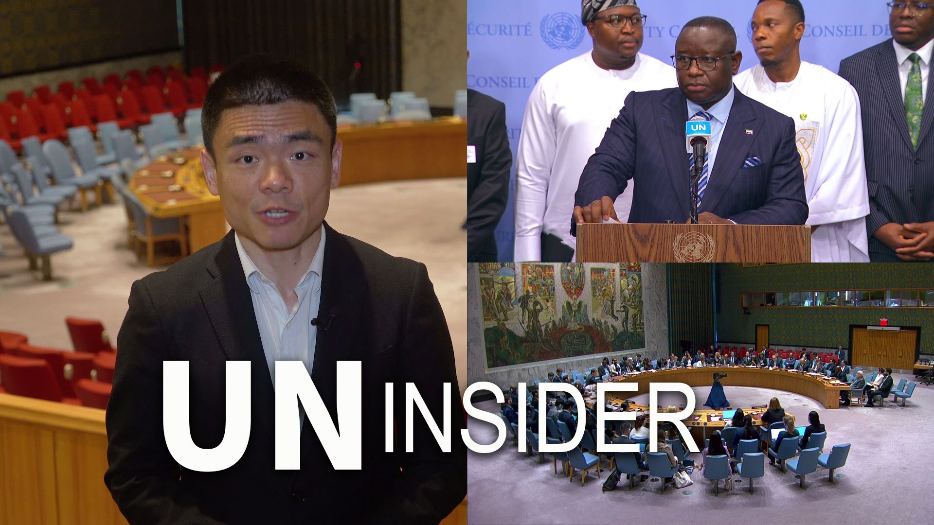 【全英文】Gaza, Africa: UN Insider Weekly哔哩哔哩bilibili