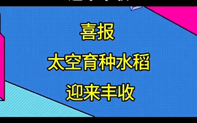 宁立恒伤透了刘西瓜的心~ 赘婿动画第二季完结网络游戏热门视频