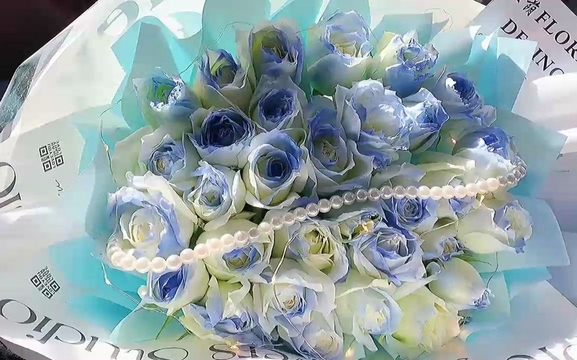 密西根碎冰蓝玫瑰的花语是"送给你的希望是星辰和大海"_哔哩哔哩_bili