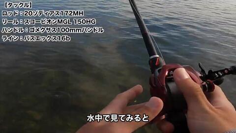 シグナル マンバ 初見インプレで2バイト 匂いがめっちゃ好きなのわかる人いる W バス釣り 哔哩哔哩 Bilibili