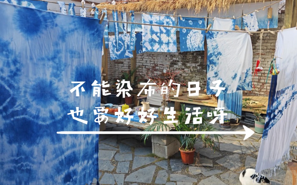 不能染布的日子,也要好好生活呀!第四天,平平淡淡里的美好生活