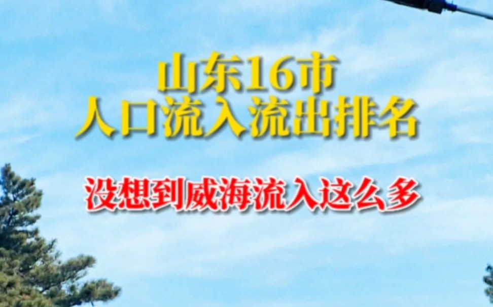 山东16市人口流入流出排名,没想到威海净流入这么多哔哩哔哩bilibili