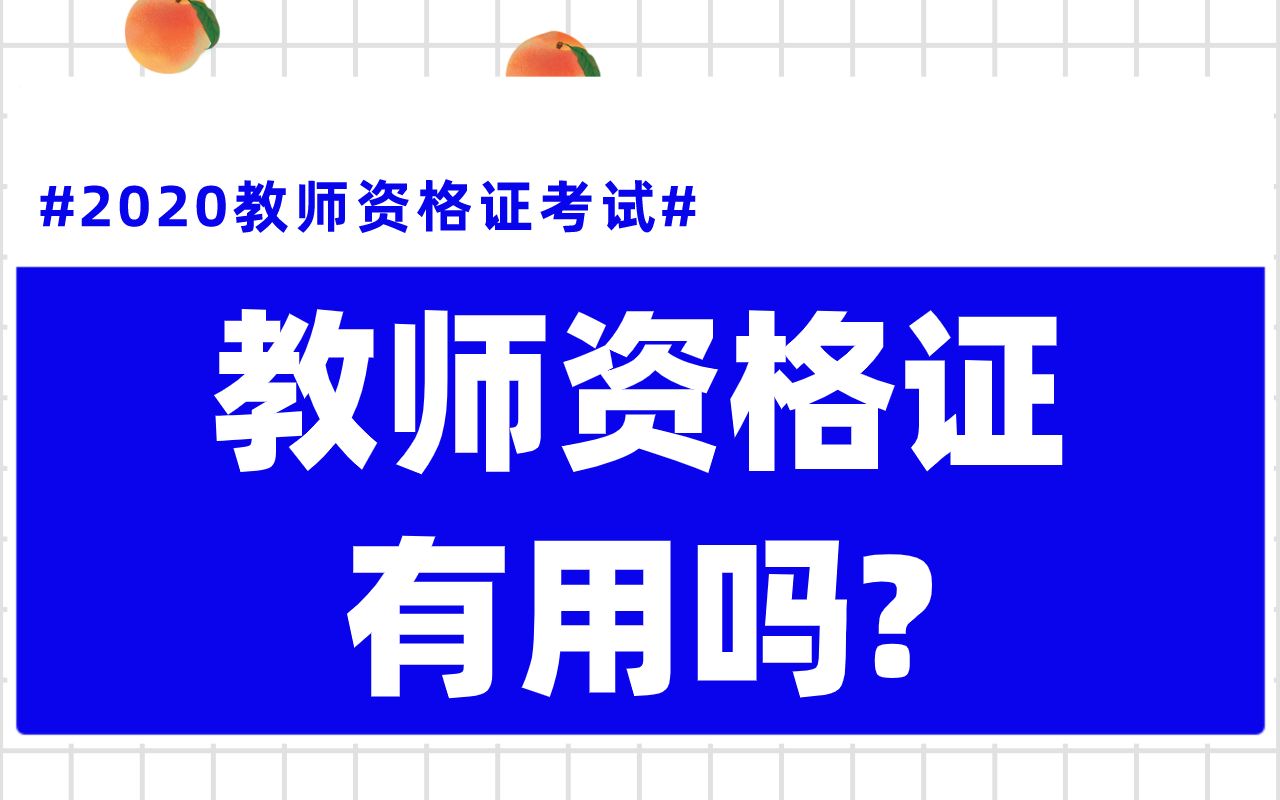 【2020教师资格证】考教资证到底有什么用?哔哩哔哩bilibili