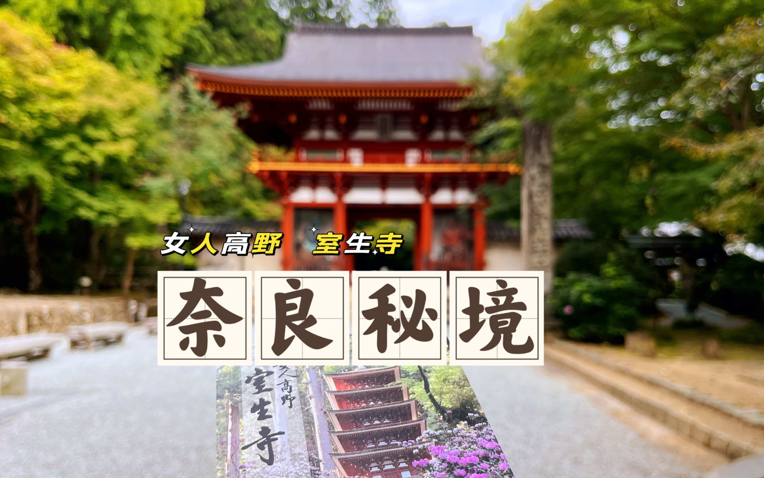 【女人高野 室生寺】奈良古寺游览|奈良秘境中的古寺|奈良景点推荐哔哩哔哩bilibili