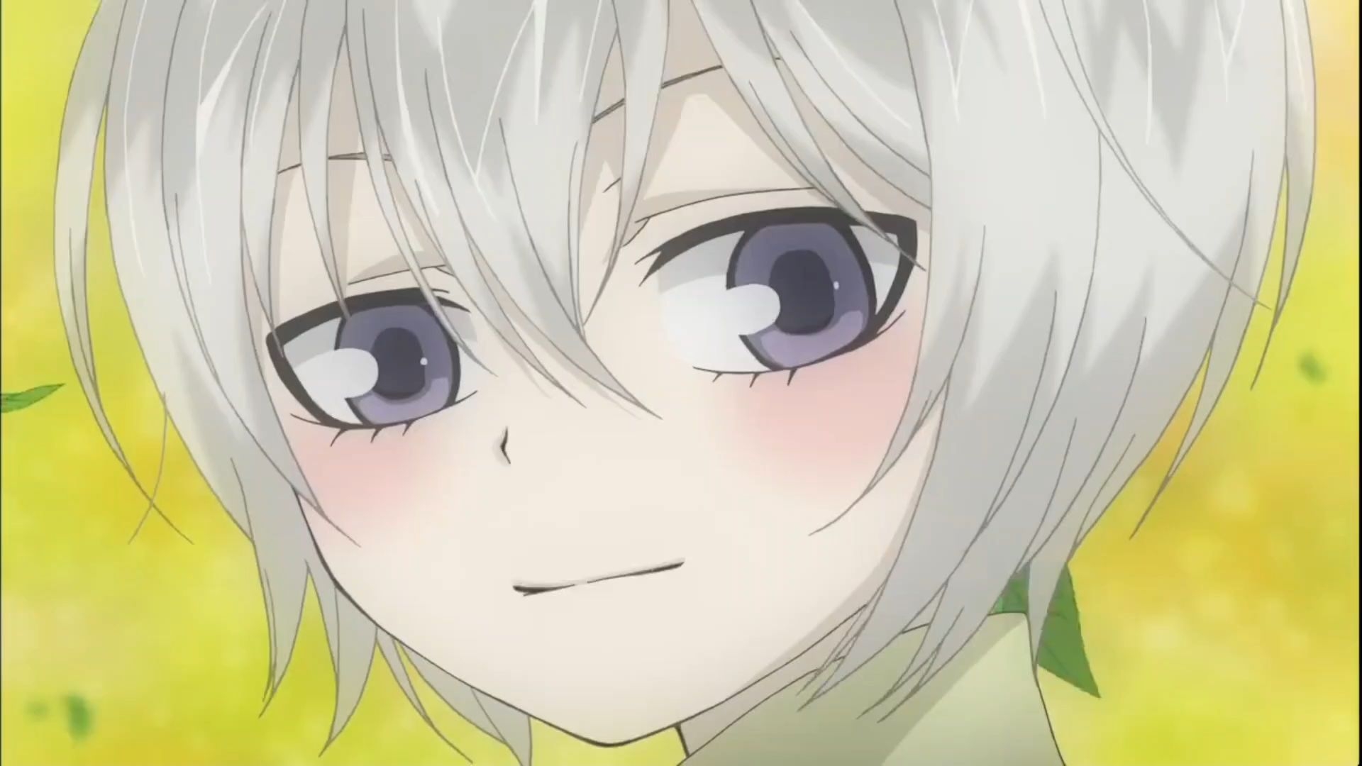 "最会撩的一只狐狸"~巴卫