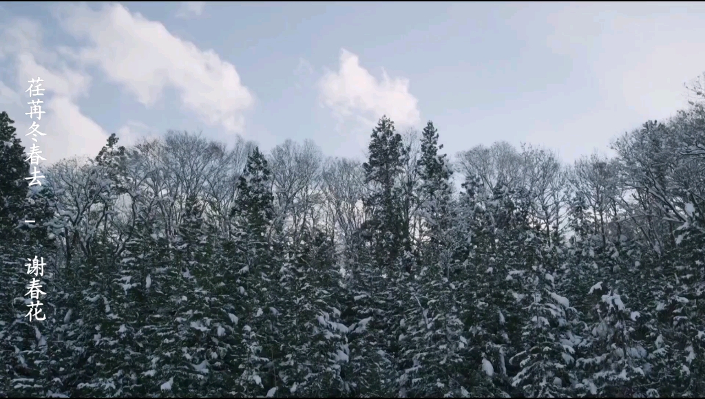 [图]荏苒冬春去 - 谢春花