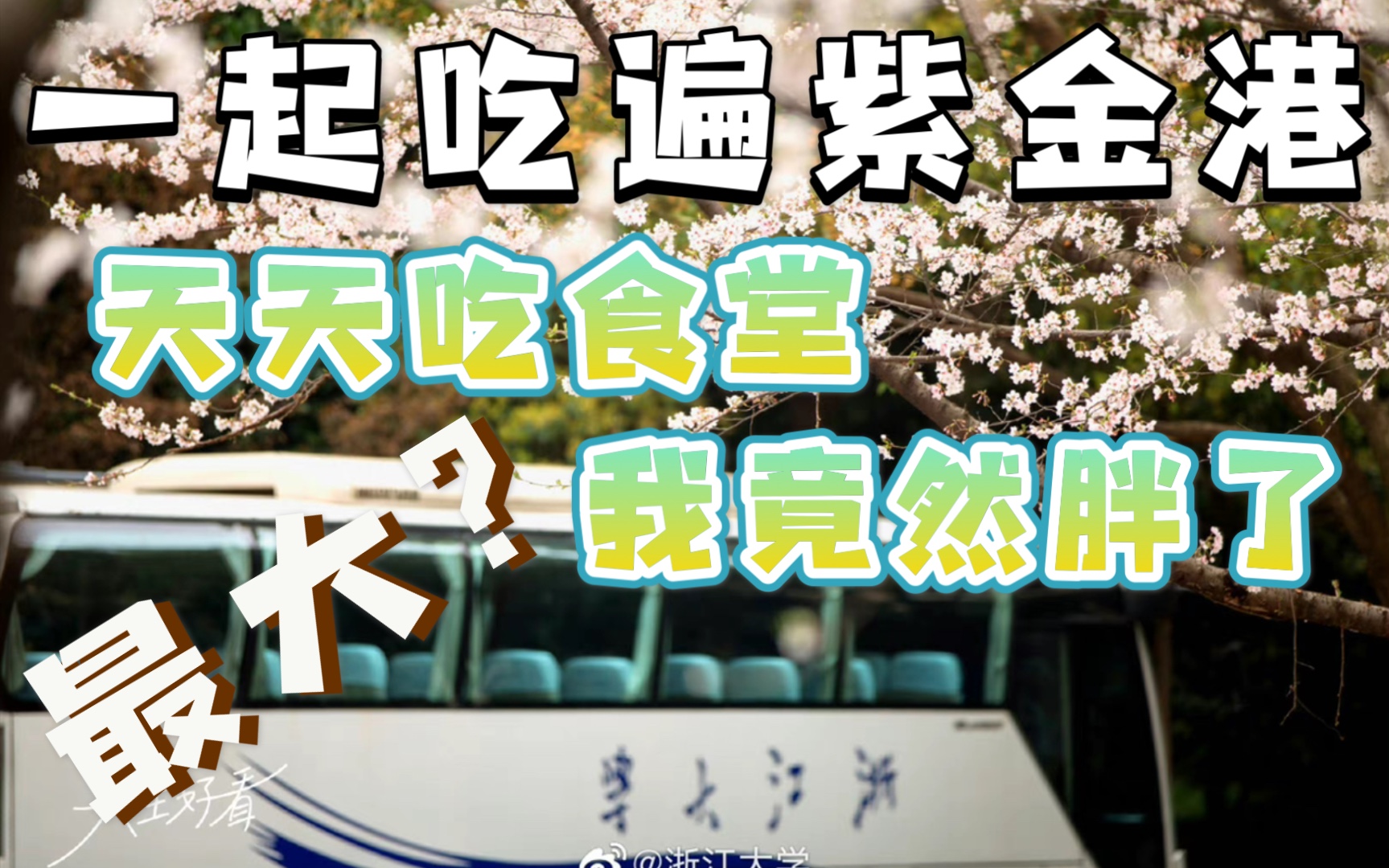 【浙大食堂初体验】紫金港最大食堂原来长这样|吃50天食堂能瘦吗TT哔哩哔哩bilibili