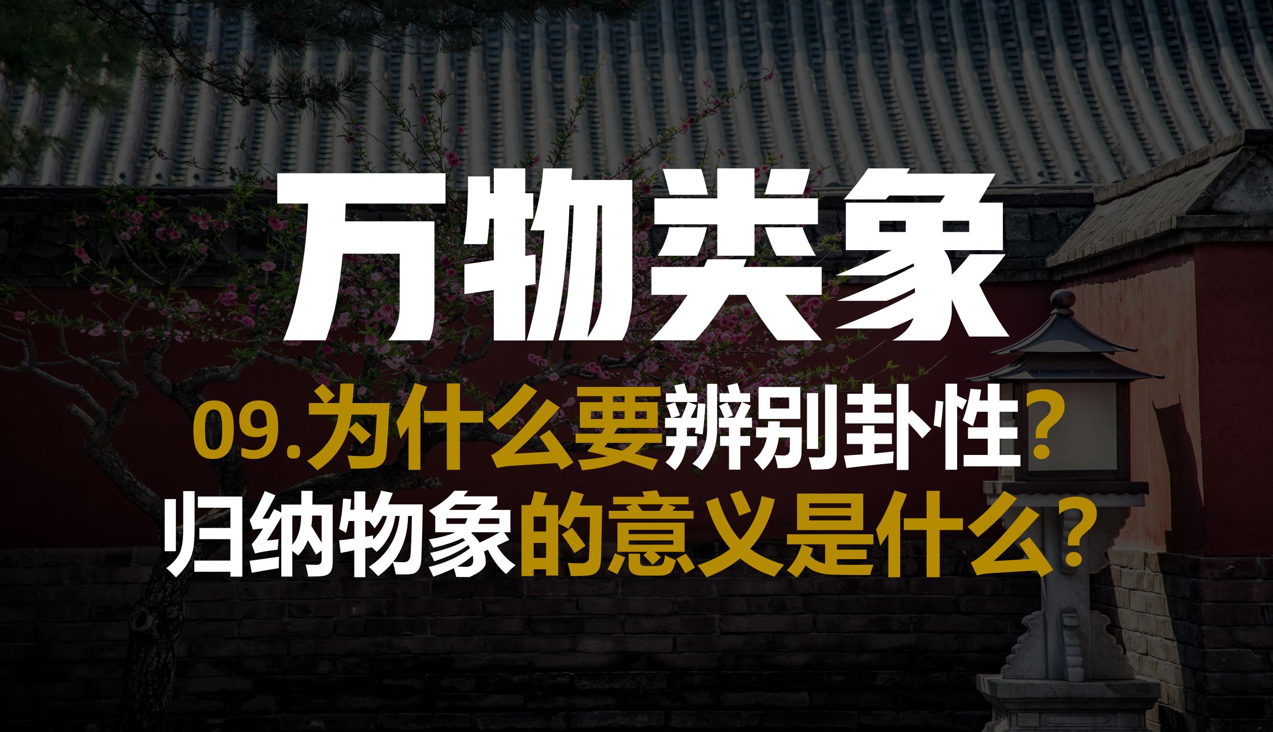 [图]09.万物类象篇（三），讲透《说卦传》八卦类象的归纳原理，归纳物象的意义是什么？