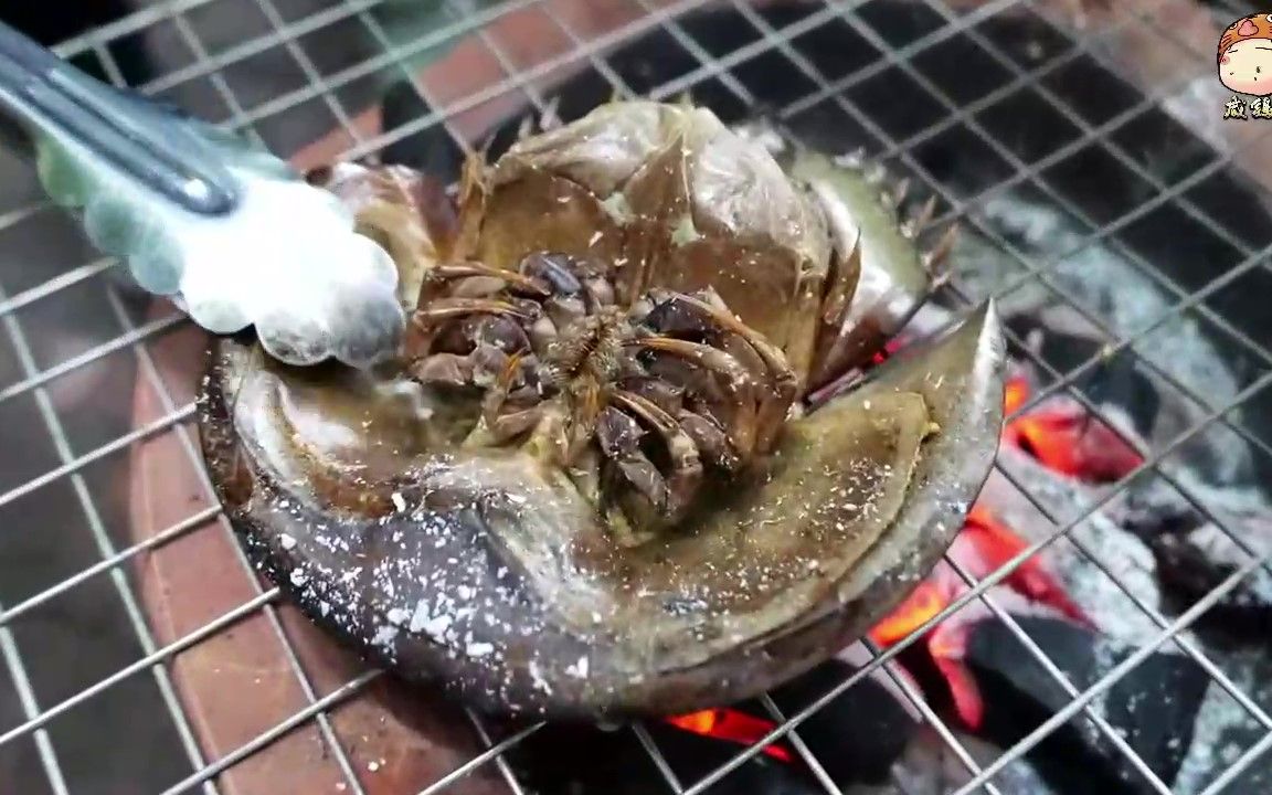 泰国路边小吃-鲎蛋_哔哩哔哩_bilibili