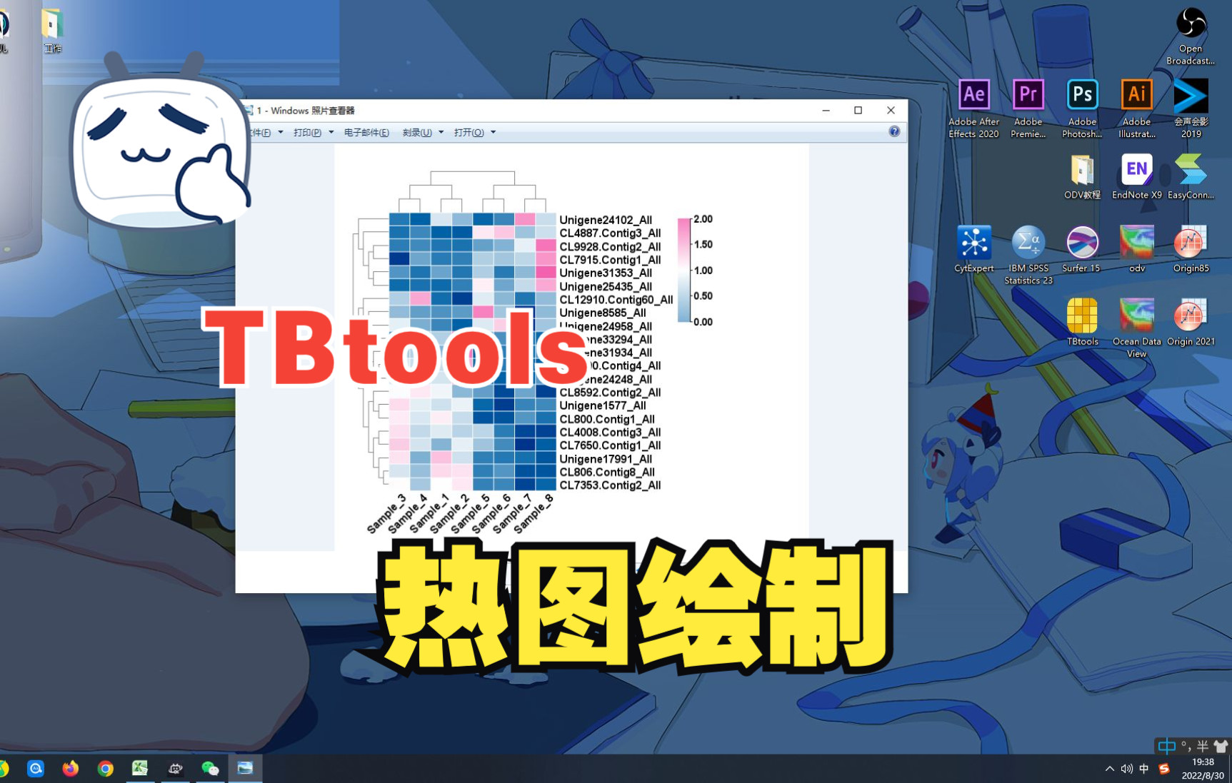 【科研】TBtools工具热图绘制相关性分析作图哔哩哔哩bilibili