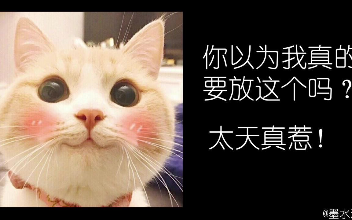 宋文嘉lovepeace