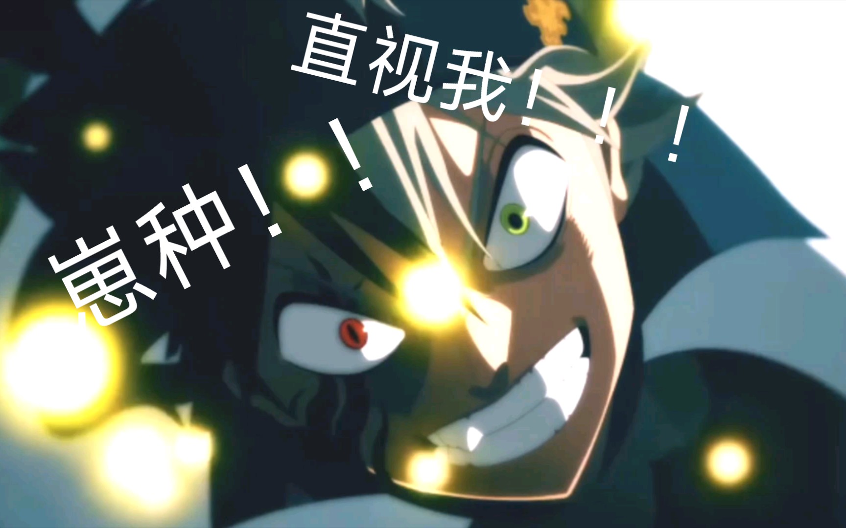 【黑色四叶草】崽种,直视我!