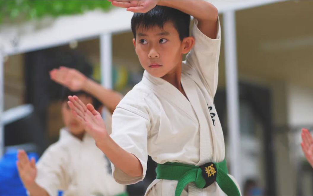 极真文化日本极真空手道宣传pviko极真会馆