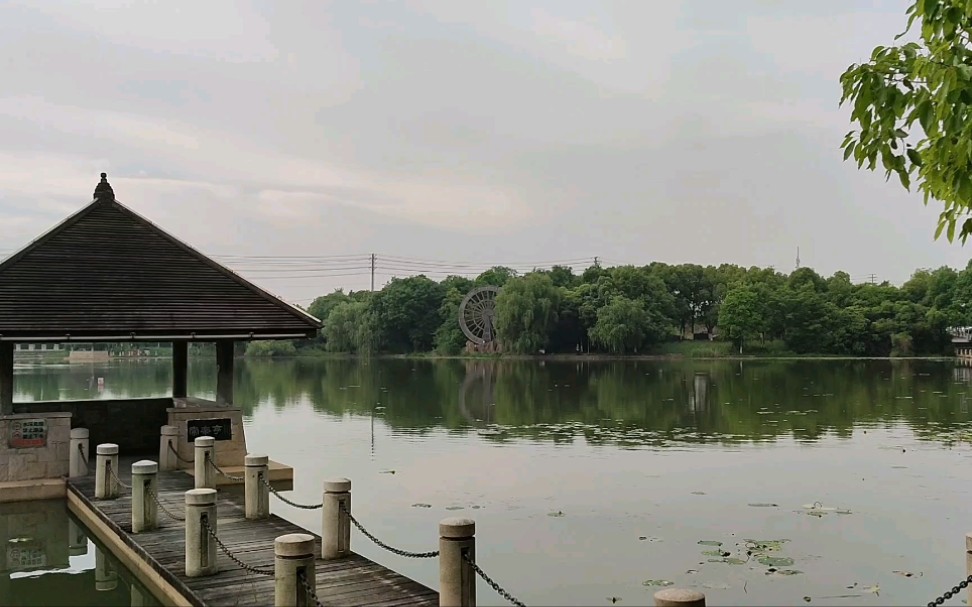 带大家来到合肥蜀山区新加坡花园城,看看里面的风景怎么样.哔哩哔哩bilibili