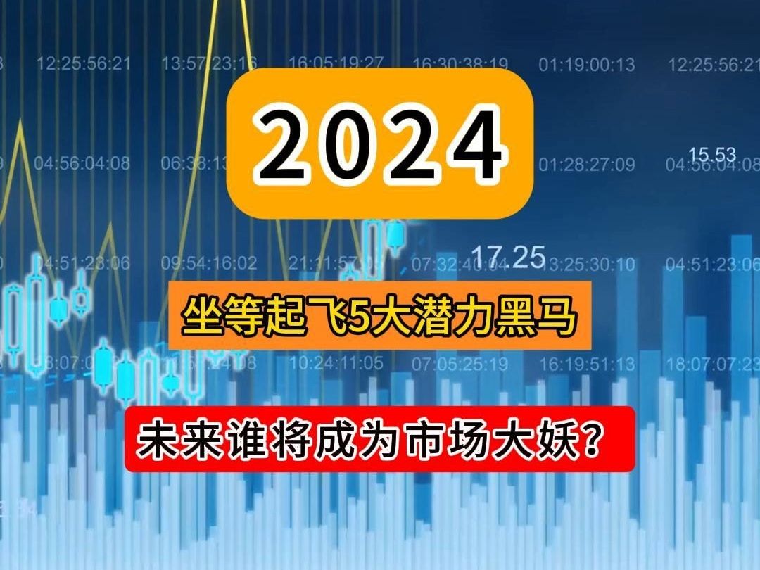 2024年坐等起飞的5大潜力黑马,未来谁将成为市场大妖?哔哩哔哩bilibili