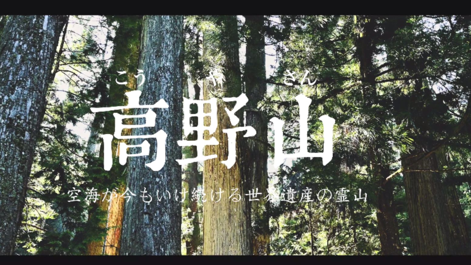 日本真言宗佛教秘境世界遗产和歌山高野山4K旅拍vlog哔哩哔哩bilibili