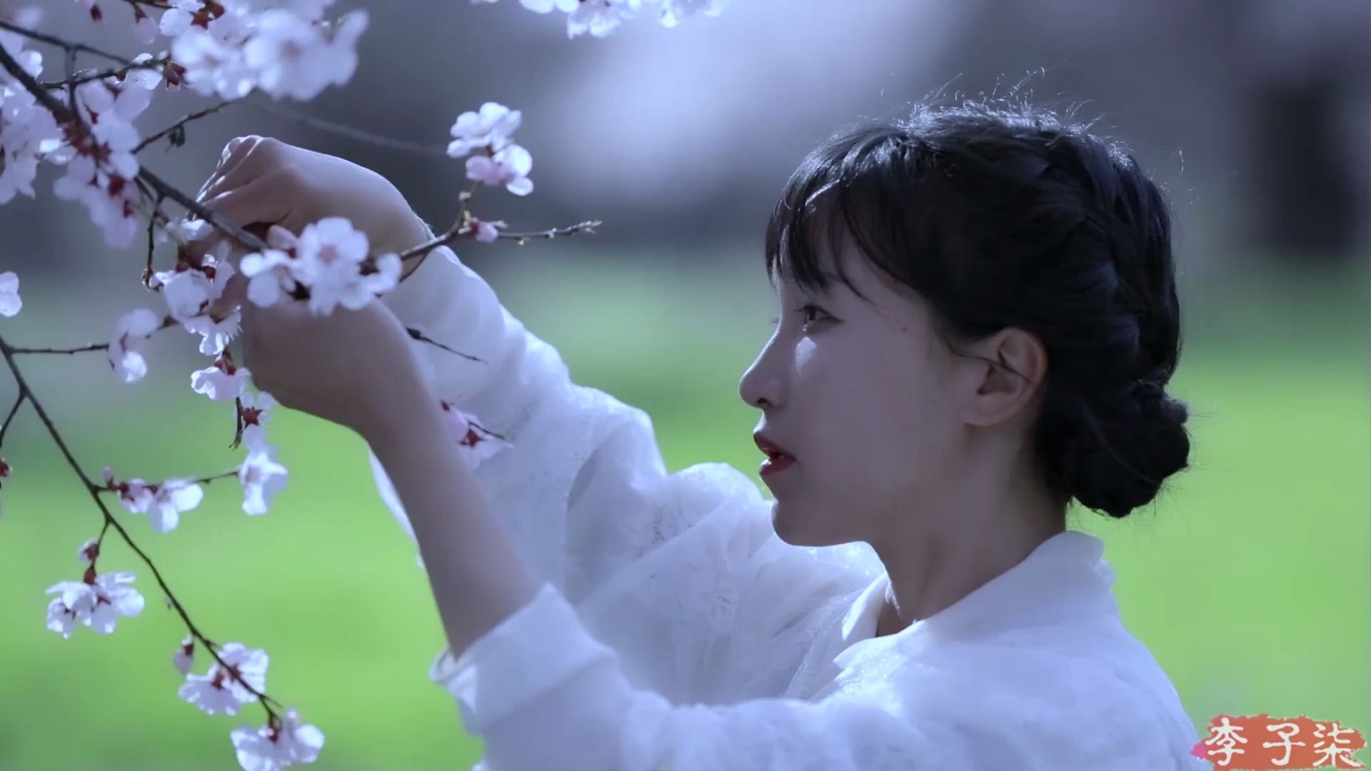 李子柒视频混剪花海bgm