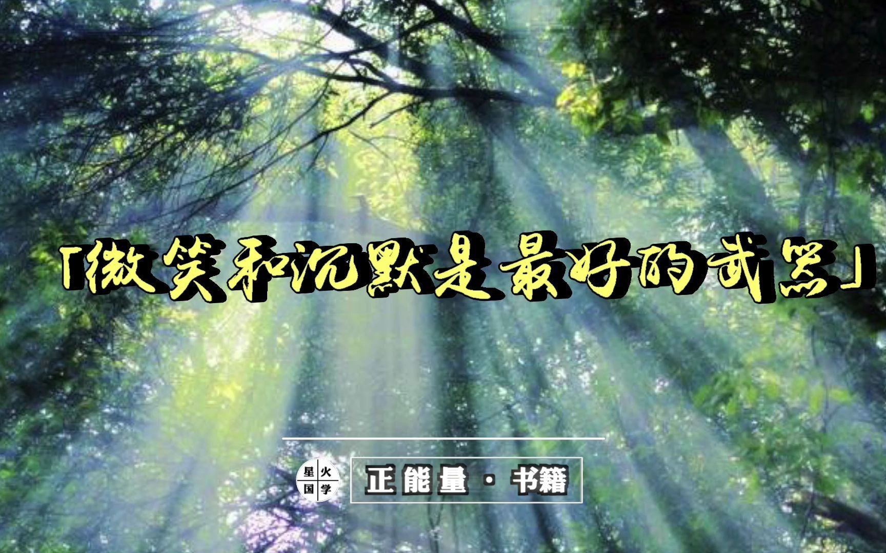 微笑和沉默是最好的武器正能量书籍一切都是最好的安排1加措