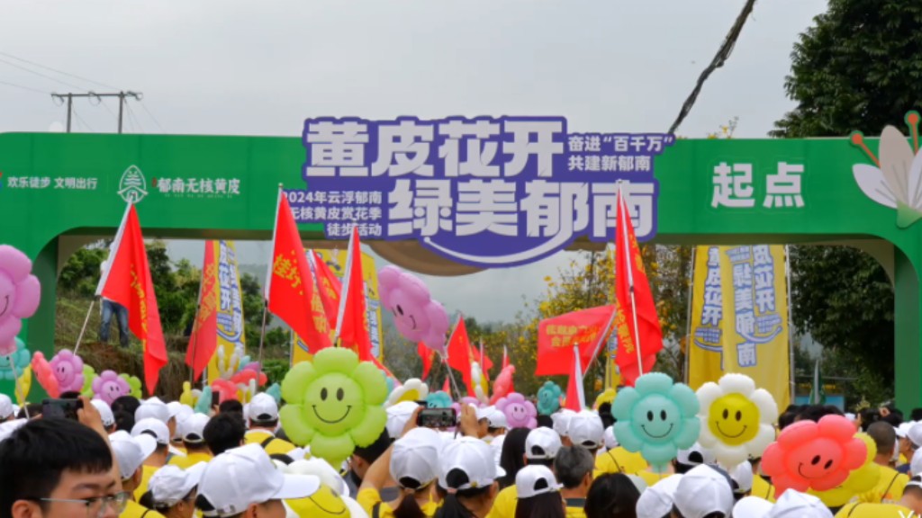 花海徒步:黄皮花开,春意浓,邀你共赏自然美景哔哩哔哩bilibili