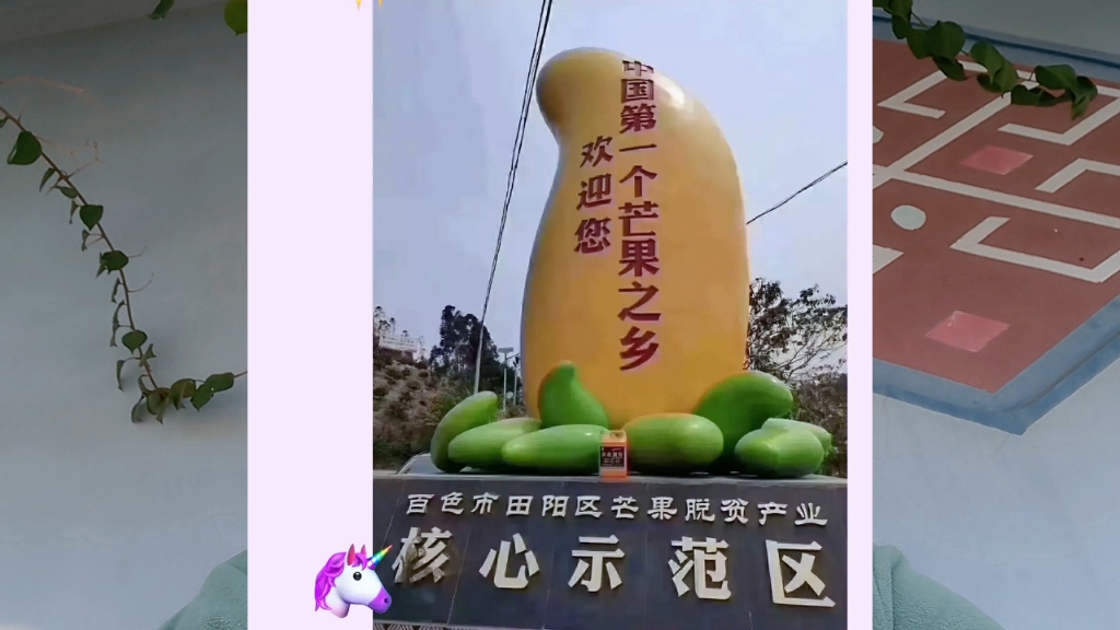 中国芒果之乡到底是田阳还是田东?