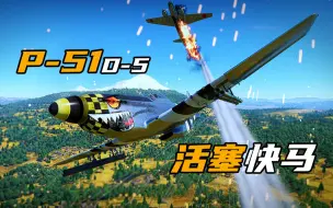 【战雷情报橘】“活塞快马”P-51D-5“野马”