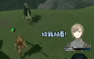 Botw 搜索结果 哔哩哔哩 Bilibili