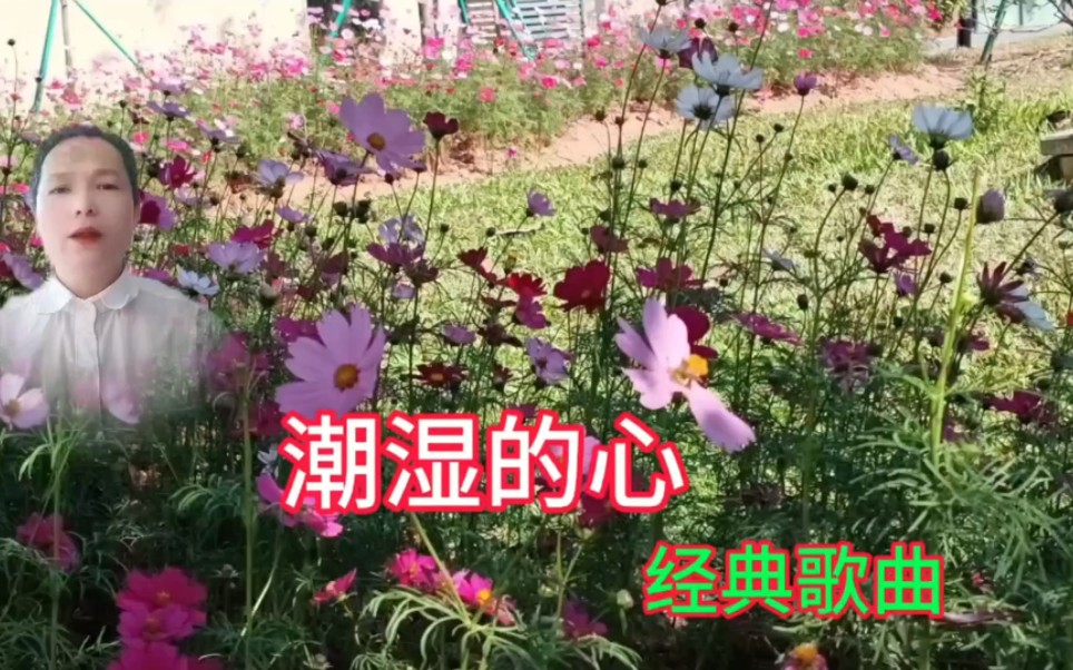 經典歌曲潮溼的心卓依婷費玉清唱過的歌曲背景是東莞植物園百花園風光