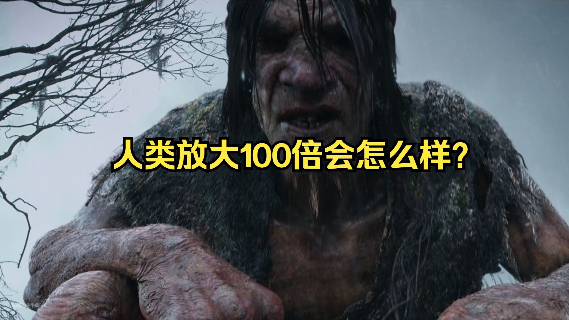 人类放大100倍会怎么样？