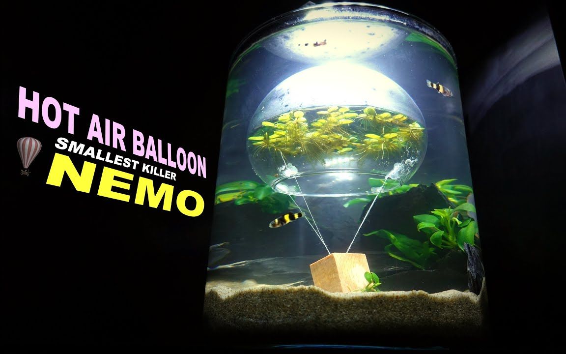 桌面“NEMO”漂浮气球水族馆哔哩哔哩bilibili