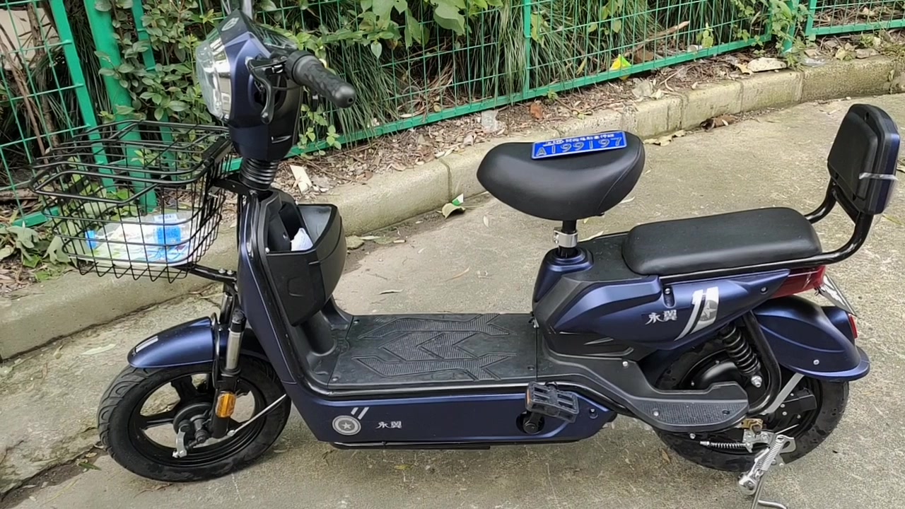 艳子顶着35℃高温去给新买的毛驴上牌,牌上好心定!