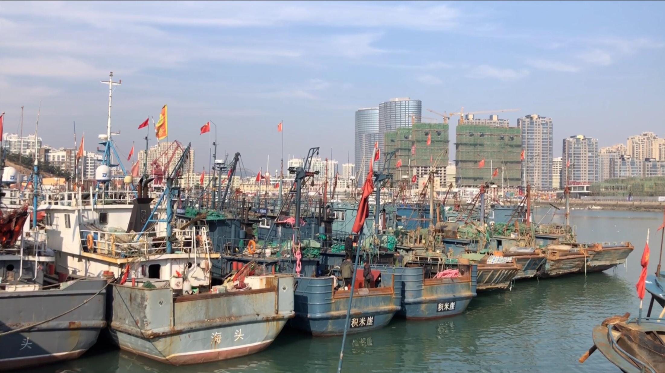 青岛闹市区旁边的这个渔港,从差点被城市吞噬,到改建重生