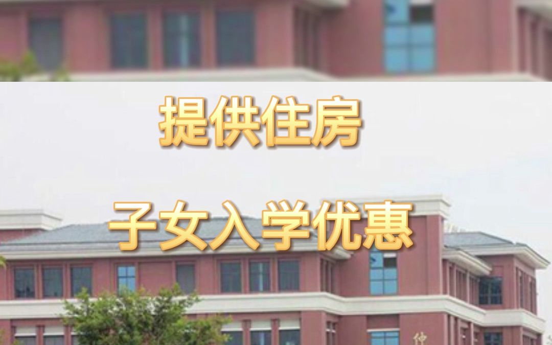 广东碧桂园职业学院2023年招聘启事哔哩哔哩bilibili