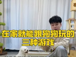 Download Video: 在家就能和狗狗玩的三种嗅闻游戏，有效消耗狗狗精力