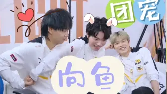 【all鱼】我们小鱼儿就是团宠吧