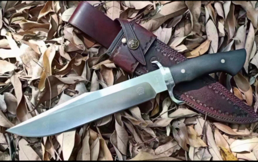 硬货-dc53钢黑熊直刀 丛林战术刀户外开路刀 双护手格斗刀生存刀 高