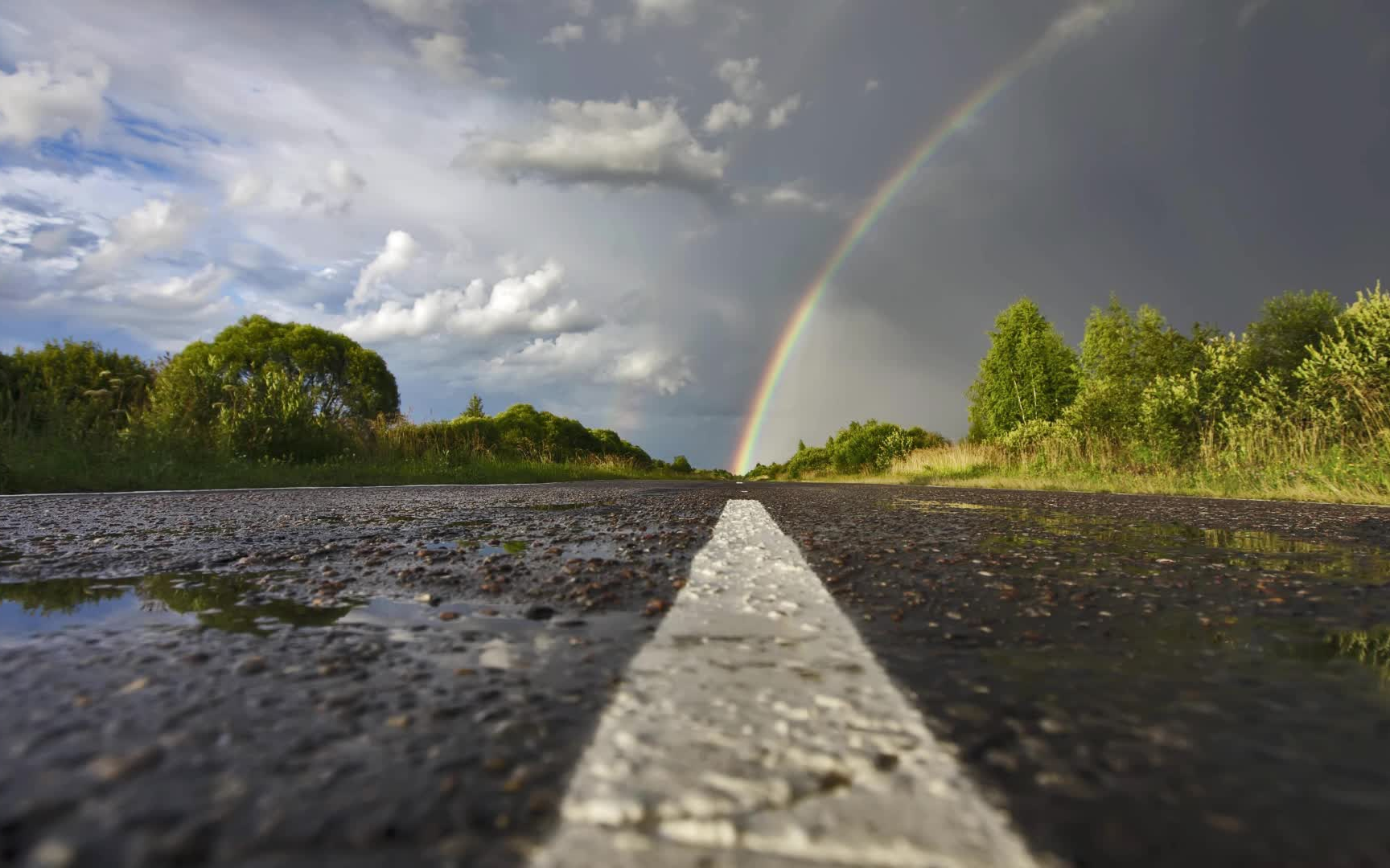 【listener】winding road -tiara