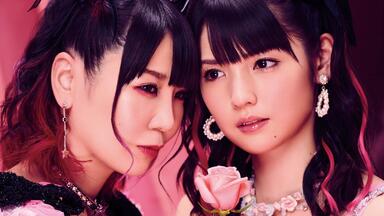 SKE48 春コン 2013 変わらないこと。ずっと仲間なこと Amazon.co.jp: 【Amazon.co.jp・公式ショップ限定】SKE48春コン