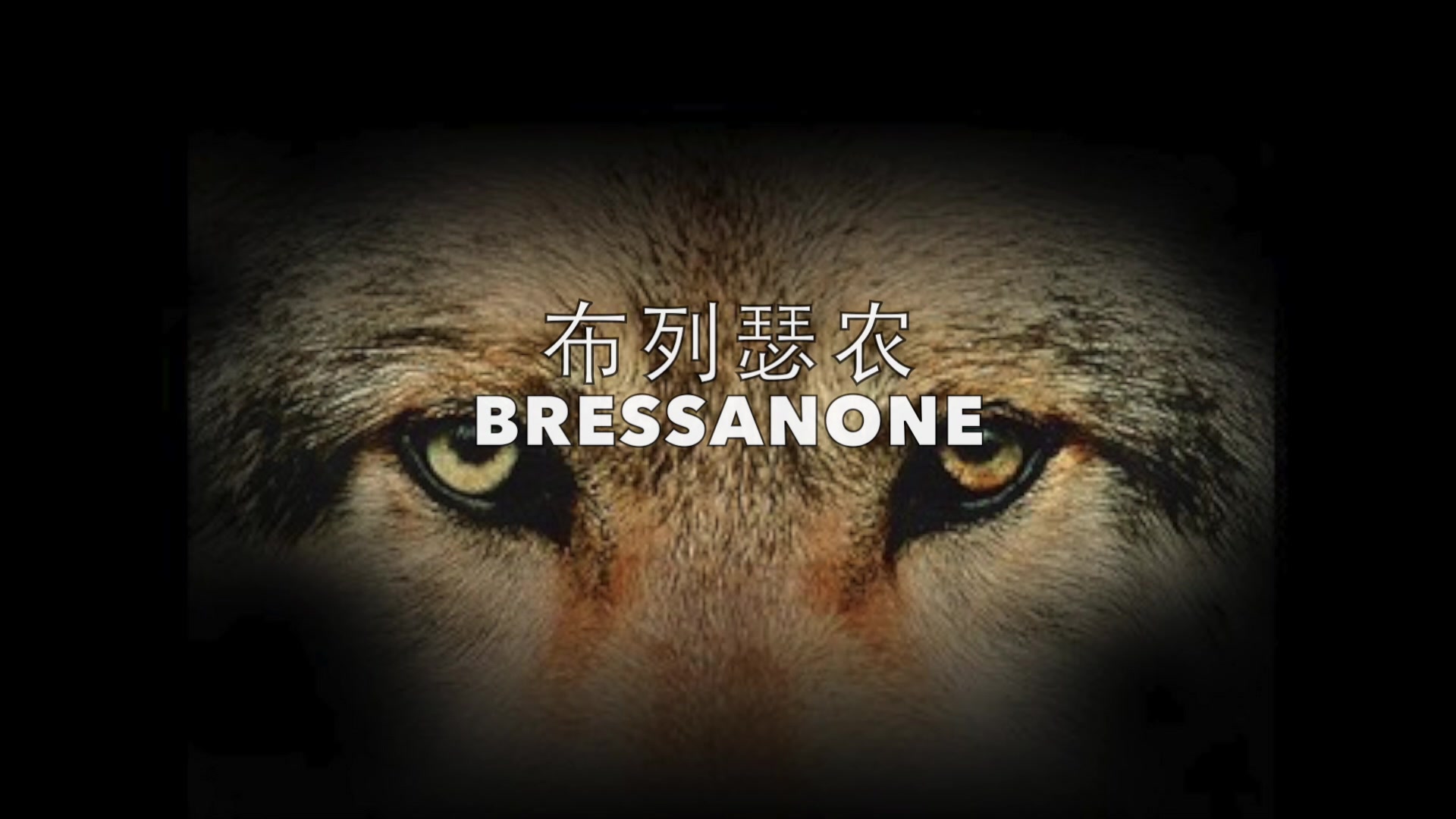 [图]【電吹管-口琴&尺八&薩克斯】布列瑟農 Bressanone-電吹管COVER【安頤爸爸音樂會】