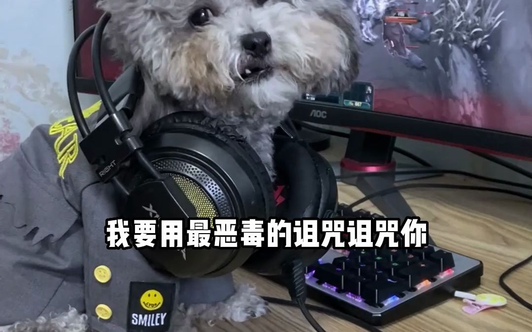 真是个恶毒的诅咒呢