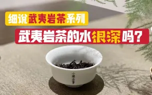 Download Video: 都说岩茶的水太深了，看了村姑陈的解读，才知道岩茶这么喝就对了