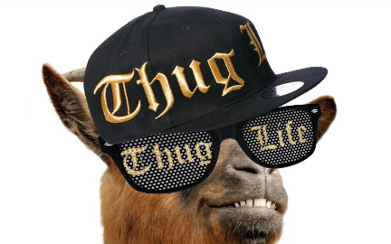 终于找到大金链子黑墨镜thuglife的原版出处了