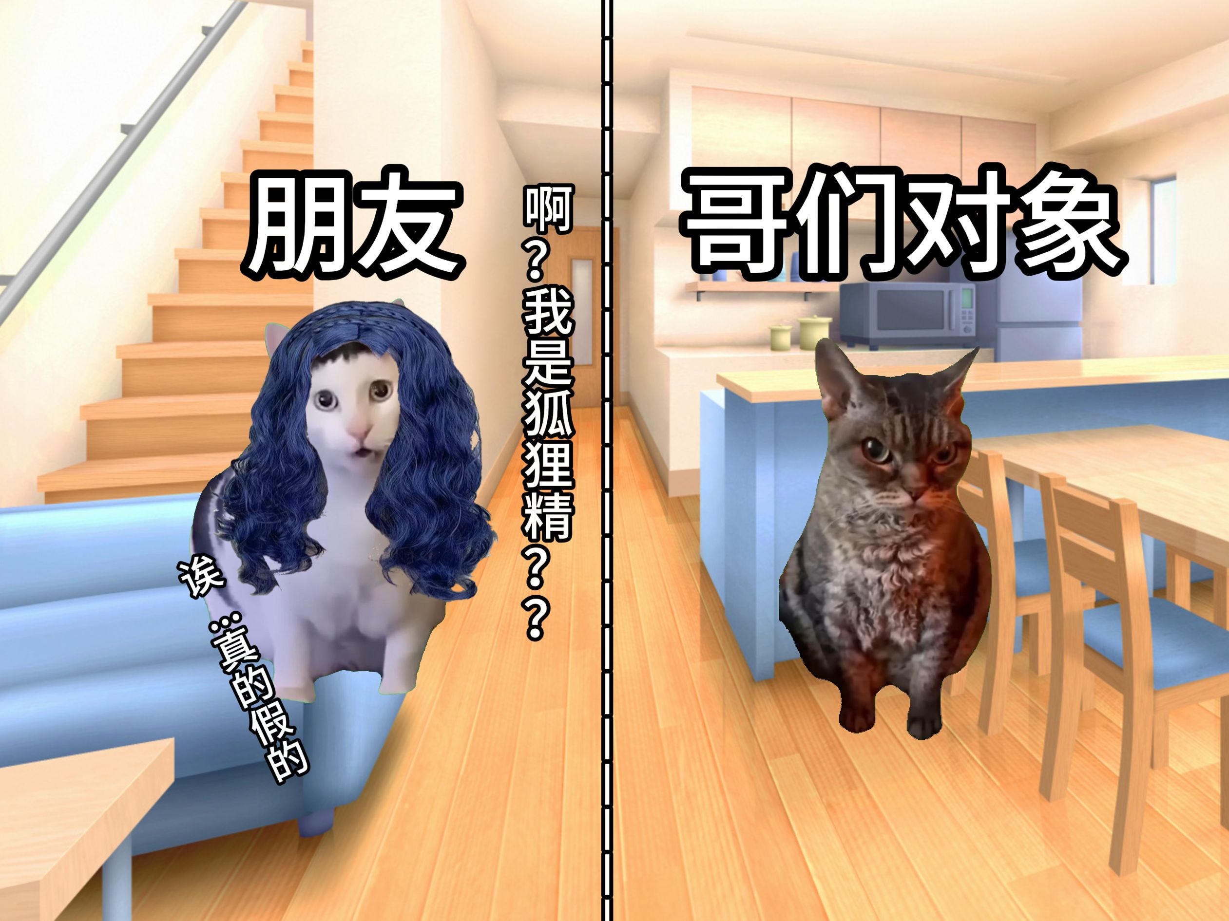 【猫猫meme】关于留长发的朋友被当成绿茶狐狸精哔哩哔哩bilibili