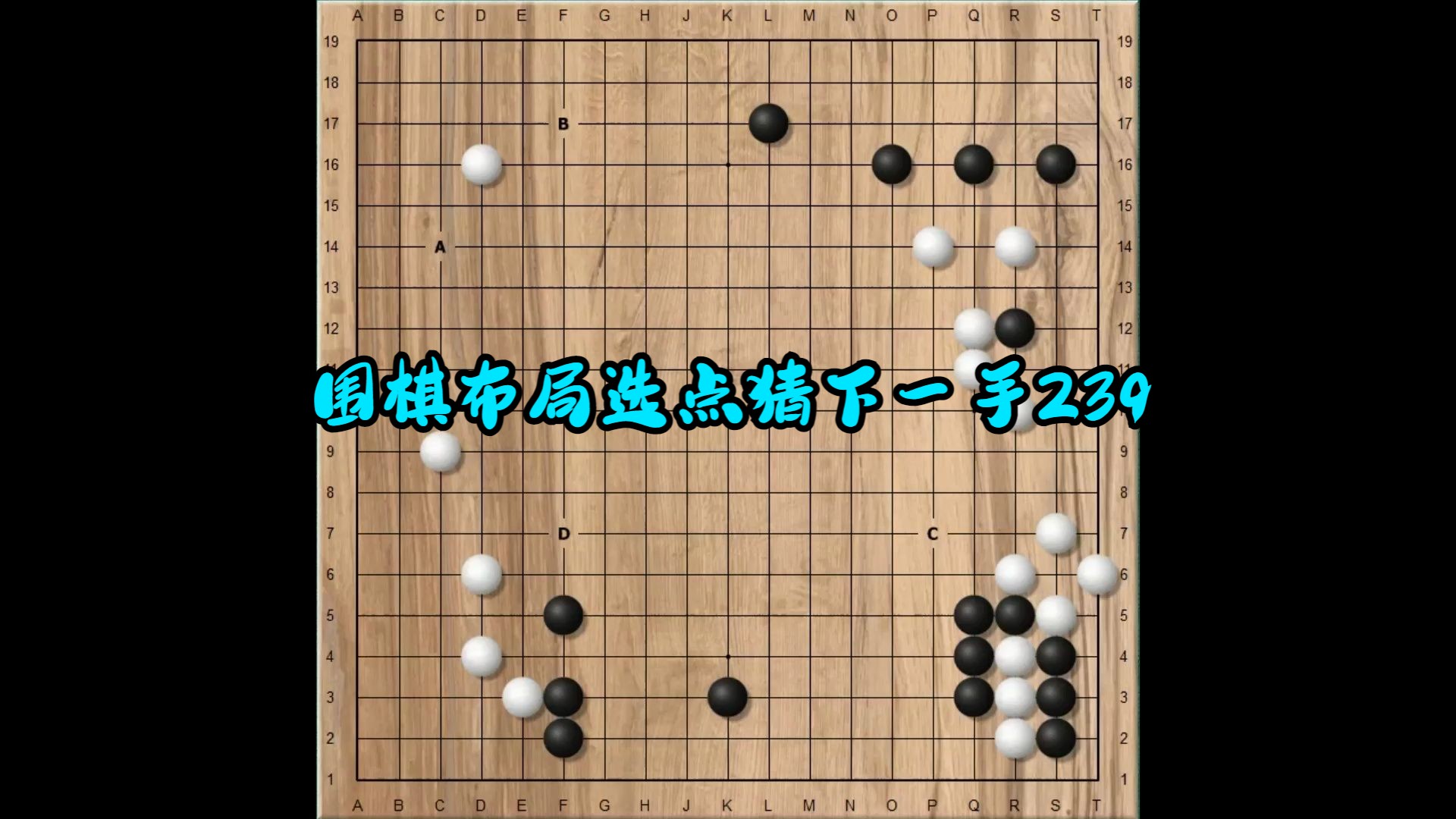 圍棋佈局選點猜下一手239