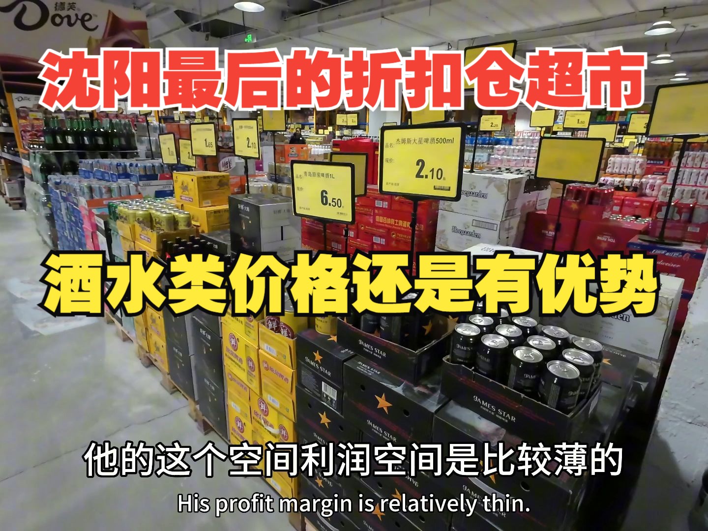 沈阳最后的折扣仓连锁店,酒水类还是有优势,100多干一车哔哩哔哩bilibili